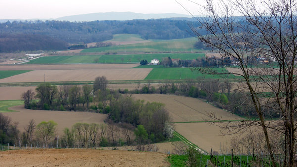 aa_daheim_ausblick.jpg